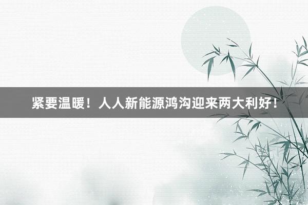 紧要温暖！人人新能源鸿沟迎来两大利好！