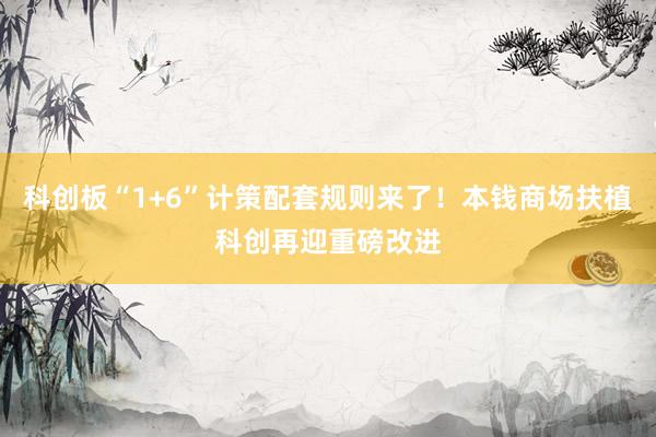 科创板“1+6”计策配套规则来了！本钱商场扶植科创再迎重磅改进