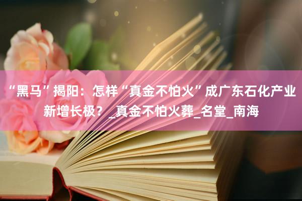 “黑马”揭阳：怎样“真金不怕火”成广东石化产业新增长极？_真金不怕火葬_名堂_南海