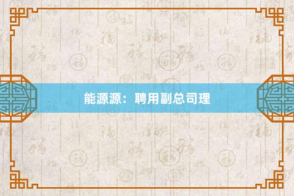 能源源：聘用副总司理