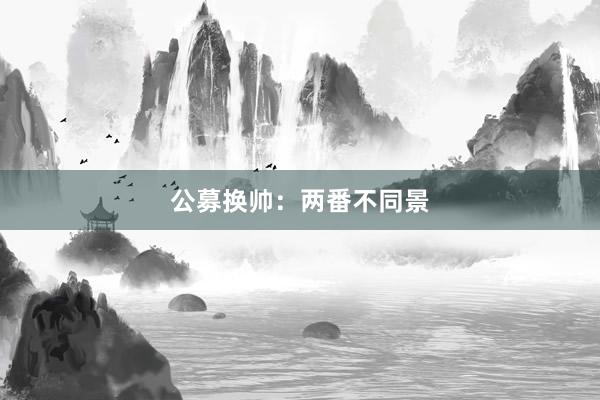 公募换帅：两番不同景