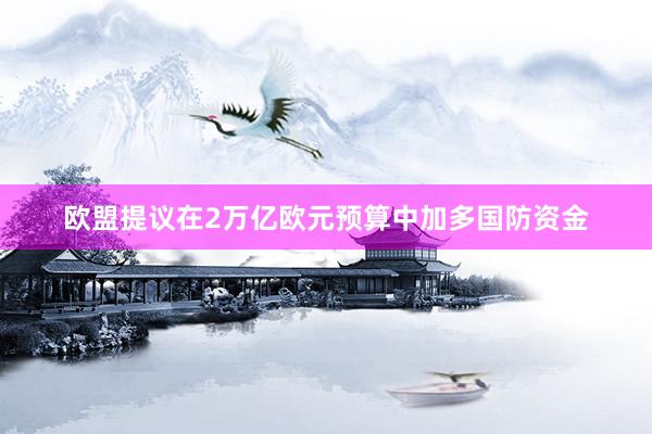 欧盟提议在2万亿欧元预算中加多国防资金