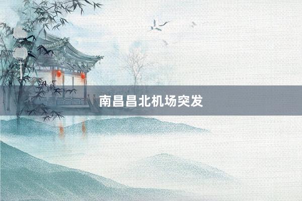 南昌昌北机场突发