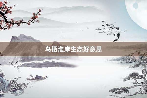 鸟栖淮岸生态好意思