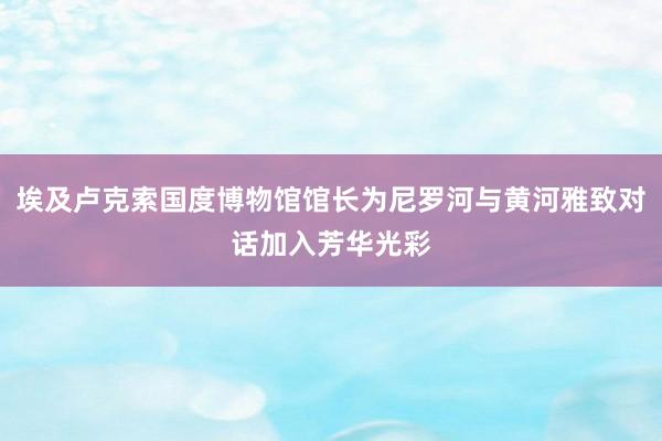 埃及卢克索国度博物馆馆长为尼罗河与黄河雅致对话加入芳华光彩