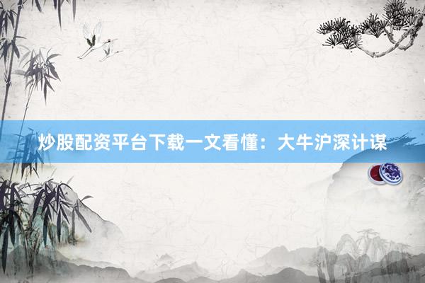 炒股配资平台下载一文看懂：大牛沪深计谋