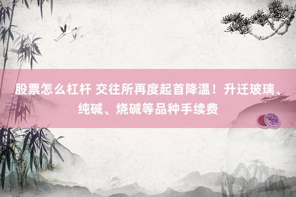 股票怎么杠杆 交往所再度起首降温！升迁玻璃、纯碱、烧碱等品种手续费