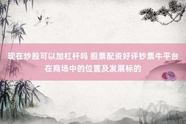 现在炒股可以加杠杆吗 股票配资好评钞票牛平台在商场中的位置及发展标的