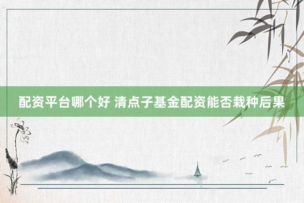 配资平台哪个好 清点子基金配资能否栽种后果