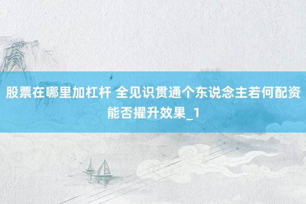 股票在哪里加杠杆 全见识贯通个东说念主若何配资能否擢升效果_1