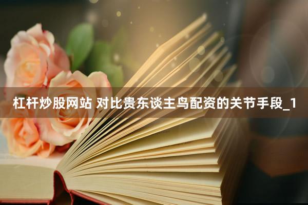 杠杆炒股网站 对比贵东谈主鸟配资的关节手段_1