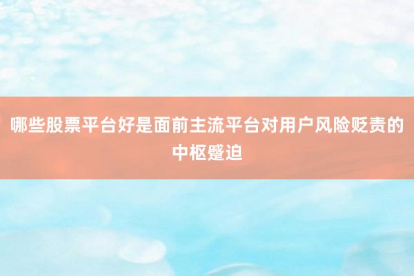 哪些股票平台好是面前主流平台对用户风险贬责的中枢蹙迫