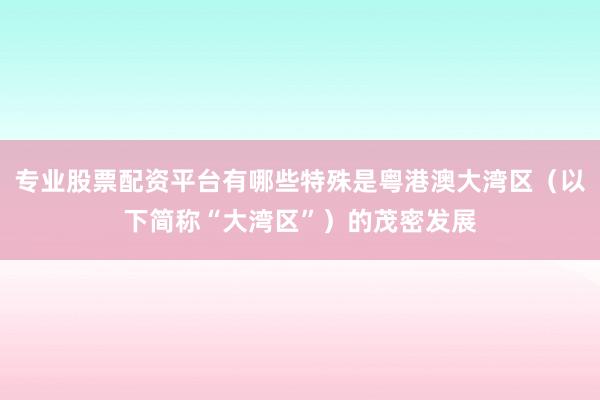 专业股票配资平台有哪些特殊是粤港澳大湾区（以下简称“大湾区”）的茂密发展