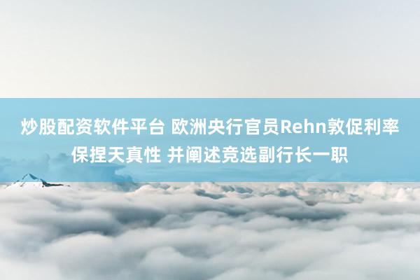 炒股配资软件平台 欧洲央行官员Rehn敦促利率保捏天真性 并阐述竞选副行长一职