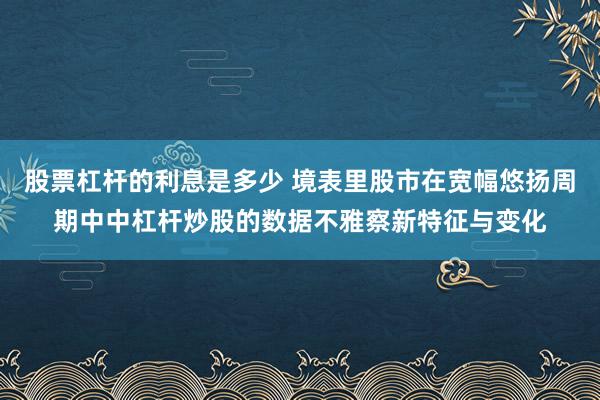 股票杠杆的利息是多少 境表里股市在宽幅悠扬周期中中杠杆炒股的数据不雅察新特征与变化