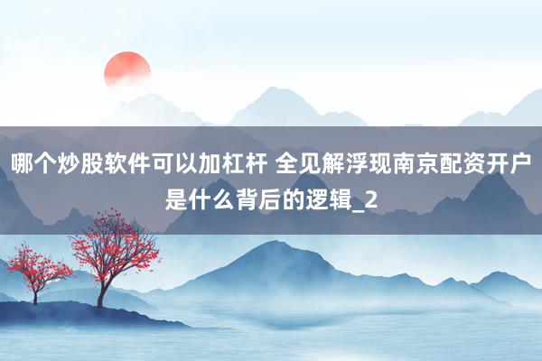 哪个炒股软件可以加杠杆 全见解浮现南京配资开户是什么背后的逻辑_2