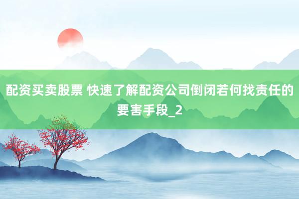 配资买卖股票 快速了解配资公司倒闭若何找责任的要害手段_2
