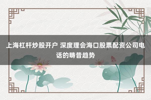 上海杠杆炒股开户 深度理会海口股票配资公司电话的畴昔趋势