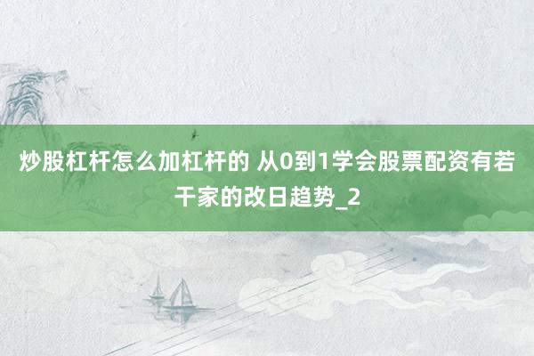 炒股杠杆怎么加杠杆的 从0到1学会股票配资有若干家的改日趋势_2