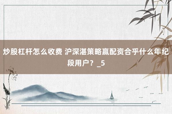 炒股杠杆怎么收费 沪深湛策略赢配资合乎什么年纪段用户？_5